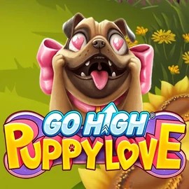 Go High Puppy Love online slot from RubyPlay – play at instanttcasino.com