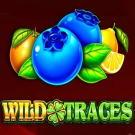 Try Wild Traces slot by Amusnet Interactive on instanttcasino.com – logo image